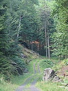 Studený potok
