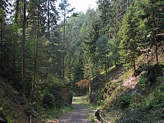 Všemilská soutěska