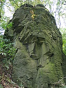 Merboltice