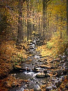 Merboltice creek